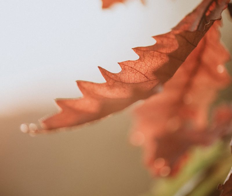 BLESSED IS THE MAN – PART 4